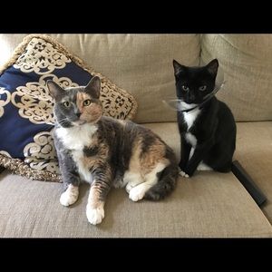 Meet your Posher, Avery